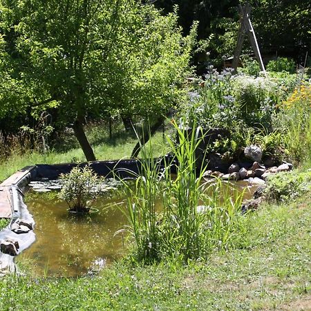 Ferienhaus "Am Schleifenbach" Saalfeld Saale Kültér fotó