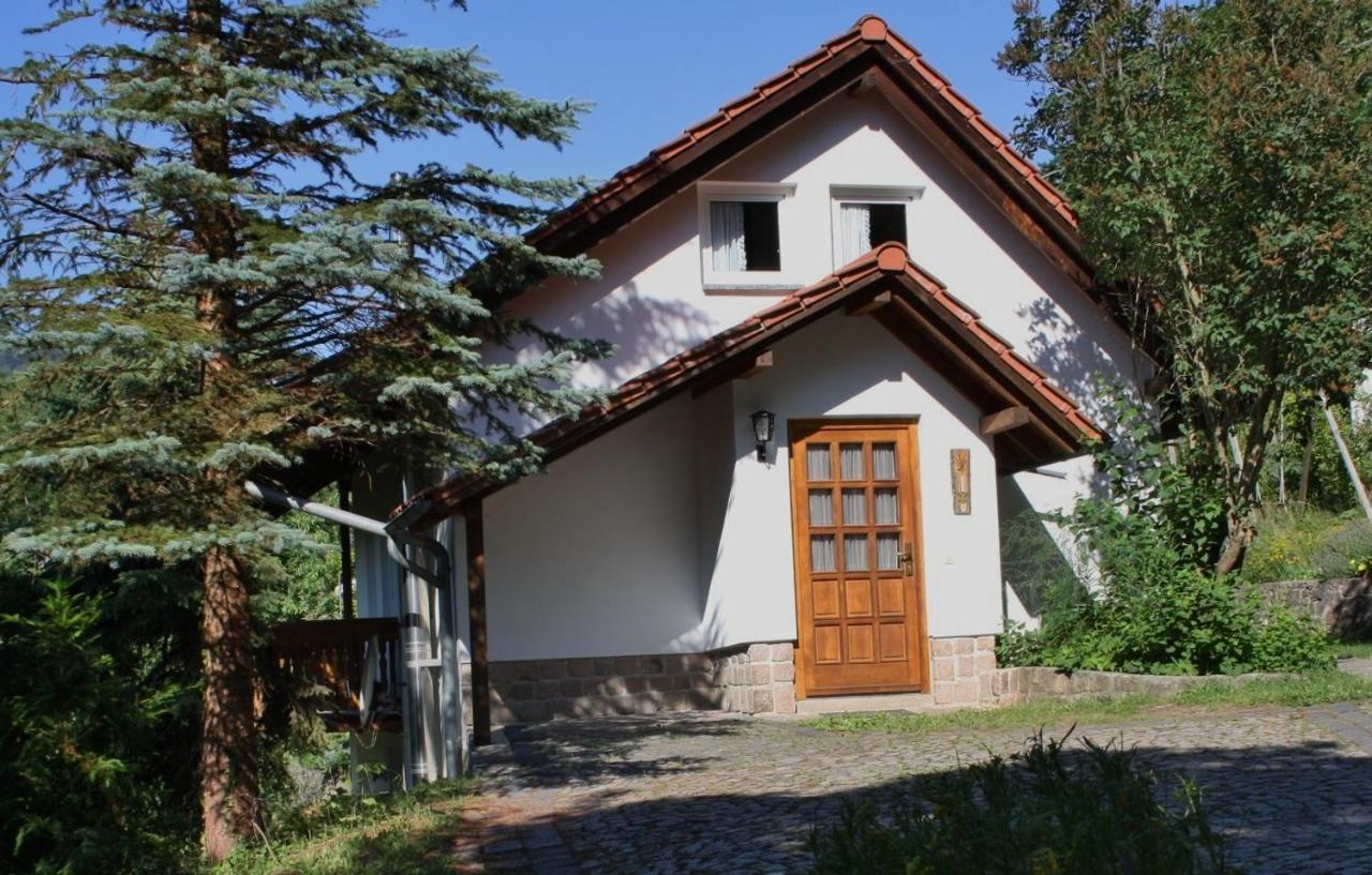 Ferienhaus "Am Schleifenbach" Saalfeld Saale Kültér fotó