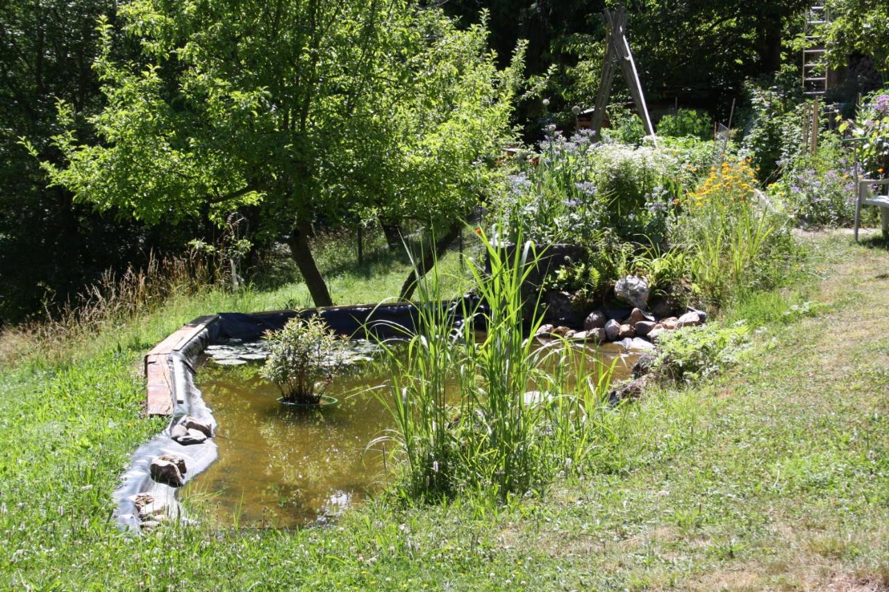 Ferienhaus "Am Schleifenbach" Saalfeld Saale Kültér fotó